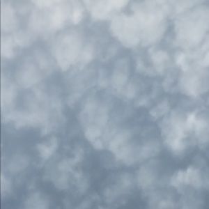 Meet your Posher, Sydney